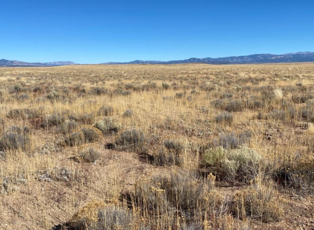 5 Aspen Land Holdings