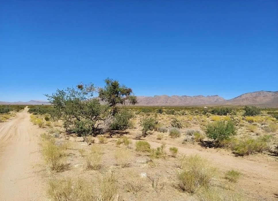 6 Aspen Land Holdings